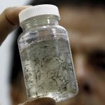 Pide EEUU ayuda para combatir el zika