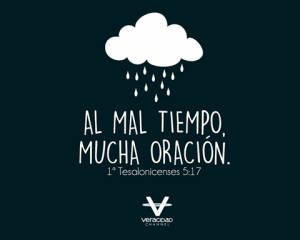 imagen5