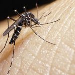Aumentan casos de Zika en México