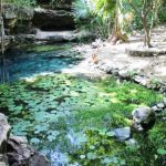 CONTAMINACIÓN DE CENOTES