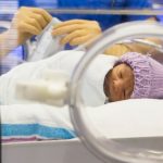 Desarrollaron un útero artificial para bebés prematuros