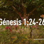 Estudio de Génesis 1:24-26