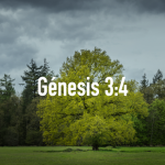 Palabras de Sabiduría 5| Génesis 3:4