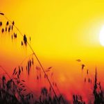 El crecimiento abismal del calor afectará a la humanidad