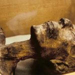 Suponen que ADN de momias egipcias “podrían” ser descendientes de Noe