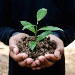 Día mundial del medio ambiente