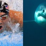 Michael Phelps cedió trono como ‘rey del agua’ al tiburón blanco