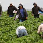 Mexicanos ganan entre 90 y 500 pesos al día