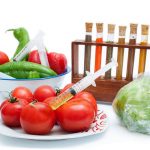 ¿Porqué se les llama alimentos transgénicos ?