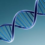 El ADN fue descubierto por una judía