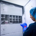 Empresa israelí de biotecnología cultiva con éxito huesos en laboratorio