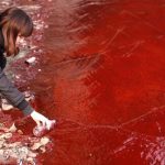 Científicos siguen sin poder explicar los “Ríos de Sangre”