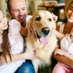 Qué enfermedades pueden causar a los humanos los perros y gatos