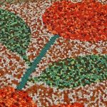 Indígenas wixárikas ganan Record por mosaico más grande del mundo
