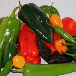 Los chiles podrían ser la clave para combatir la obesidad