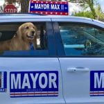 Una comunidad de California elige a Max, un perro, como su alcalde