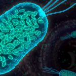 Bacteria de gangrena podría ayudar a combatir el cáncer