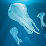 ¿Qué impacto tienen las bolsas de plástico?