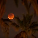 “Luna llena de gusano” 2019: cuándo verla y por qué su nombre