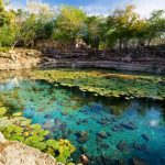 Haz turismo en estos increíbles sitios protegidos de México