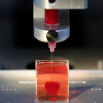 En Israel científicos imprimen primer corazón en 3D utilizando tejido humano