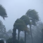 Reducción de huracanes causa sargazo