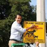 Estrenan en Nuevo León cruces seguros para perros y gatos.