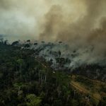 El planeta se incendia, primero la Amazonia y ahora África central.