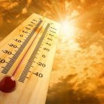 “Este año es considerado el más caliente del planeta”