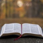 ¿De dónde proviene la palabra Biblia?