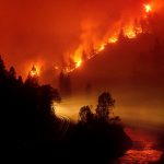 Incendios forestales en el planeta